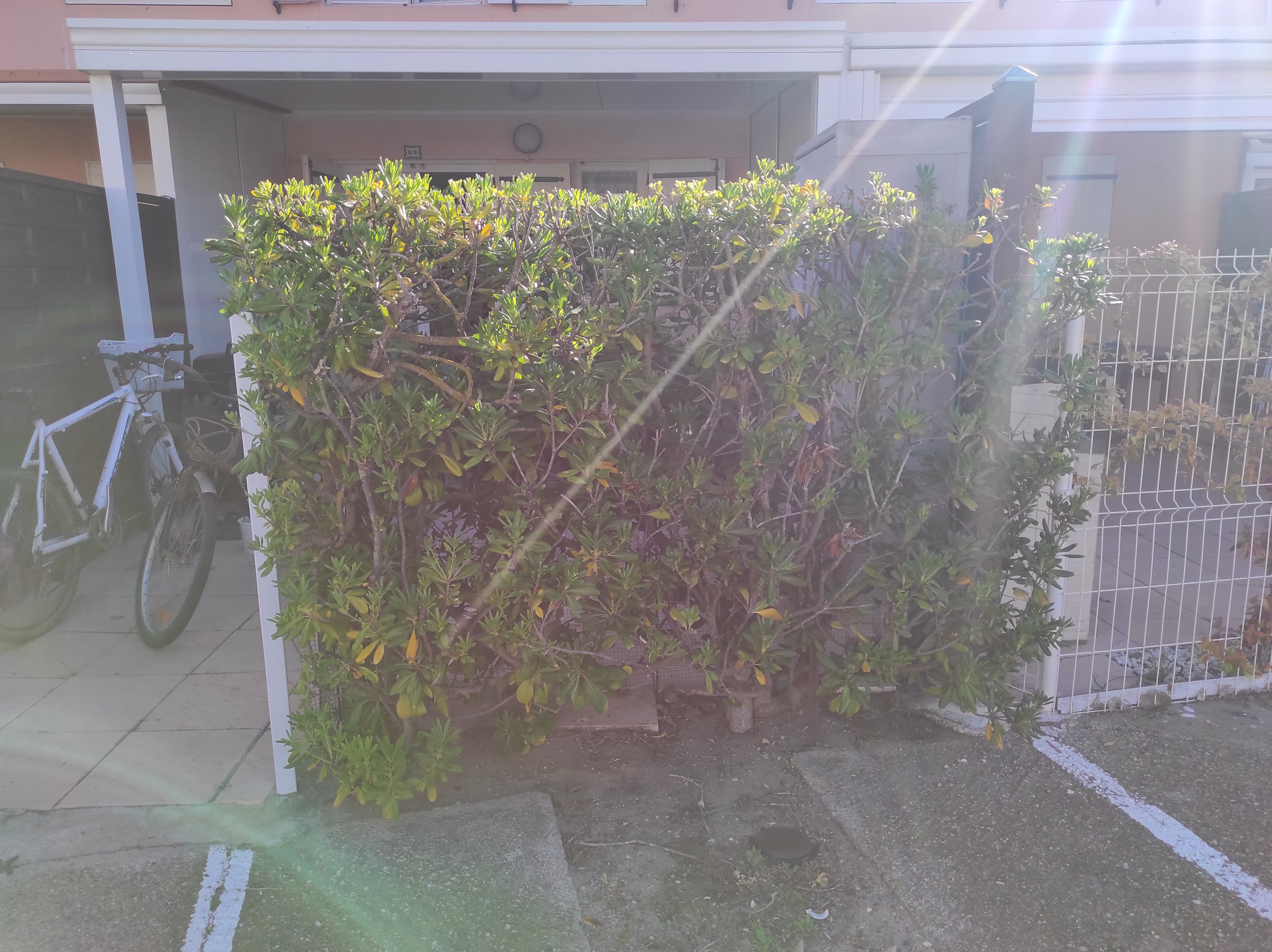 Photo de réalisation