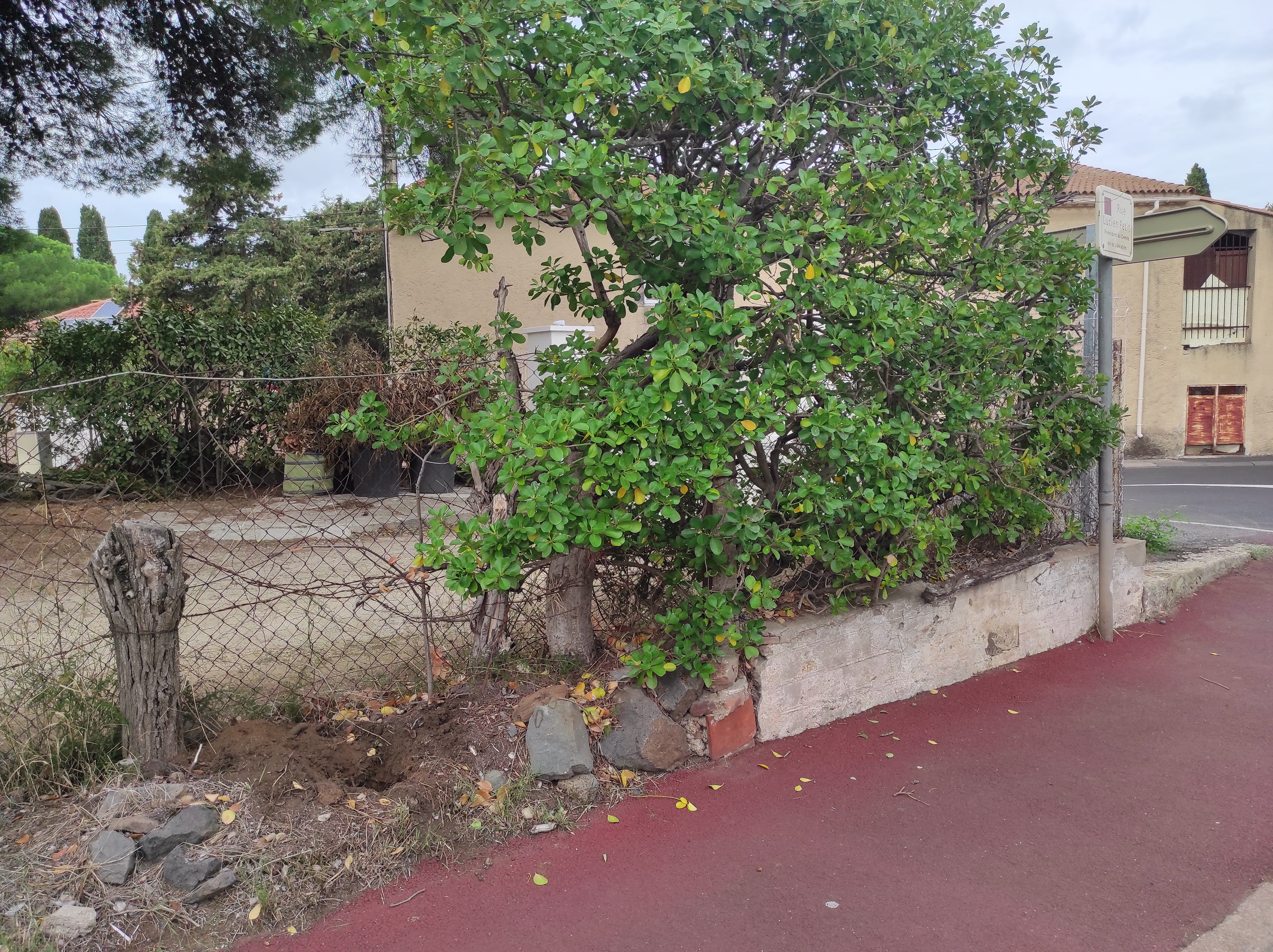 Photo de réalisation